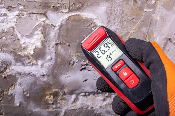 Best Kitchen Mold Remediation in Sikeston, MO
