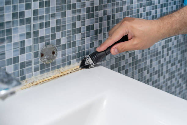 Best Mold Remediation for Specific Building Types in Sikeston, MO