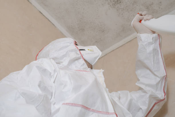 Best Mold Testing and Inspection Services in Sikeston, MO